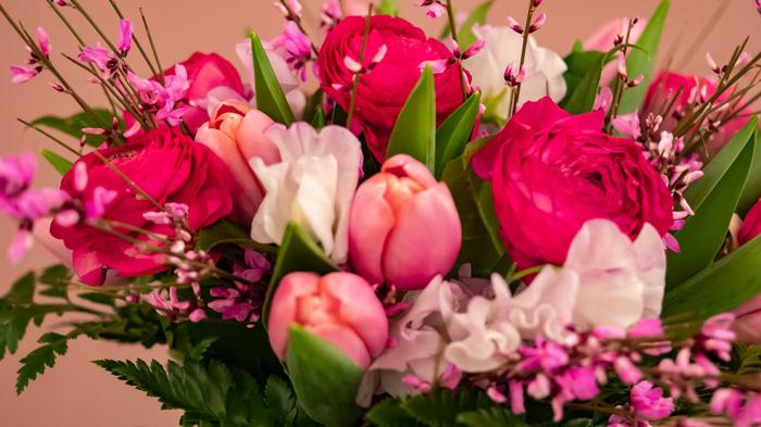 Fleur st-valentin à Élancourt