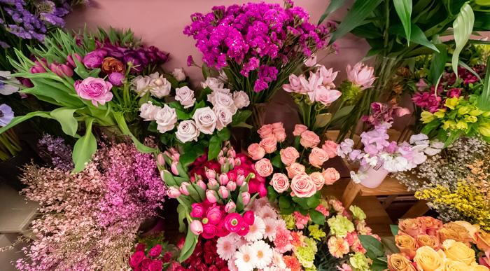 Fleurs-rose-fuschia-saumon-rose-pale-jaune