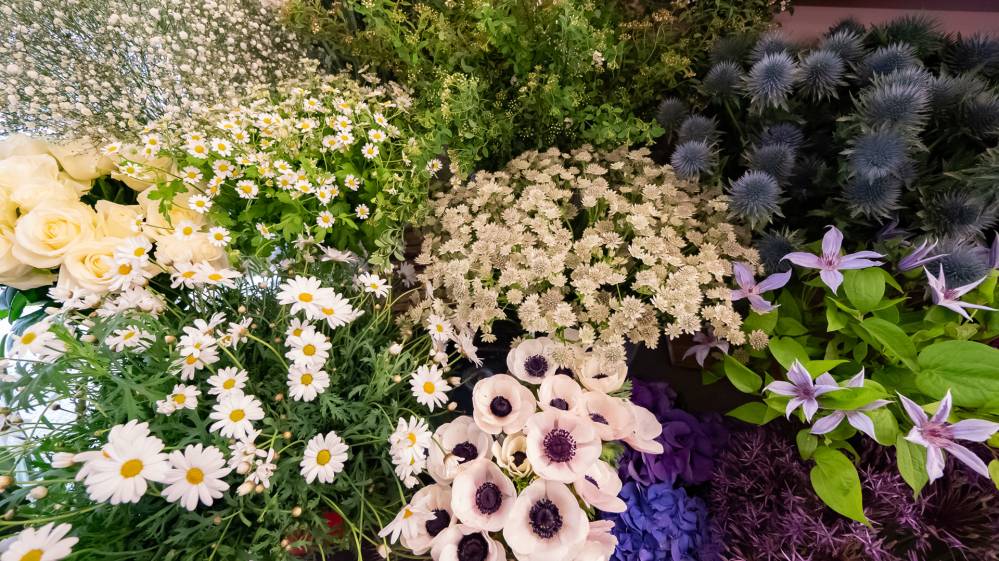 Magasin fleurs à Élancourt
