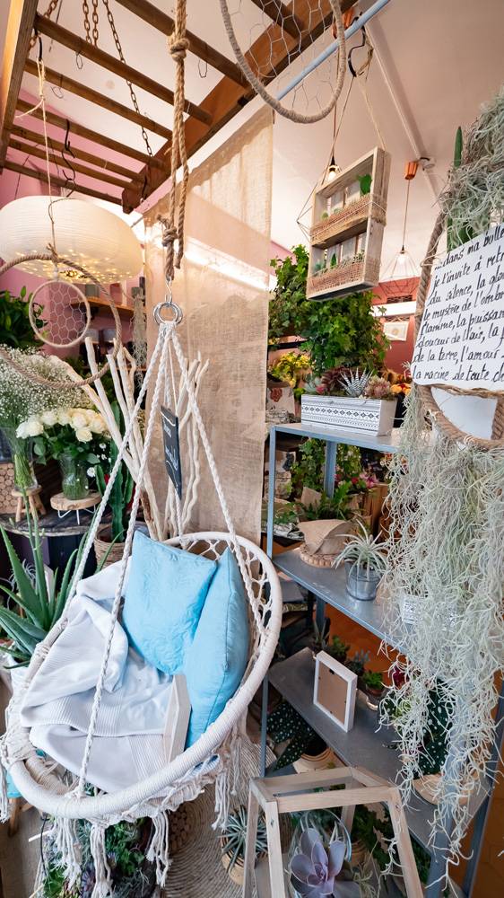 Fauteuil-suspendu-plantes-vertes