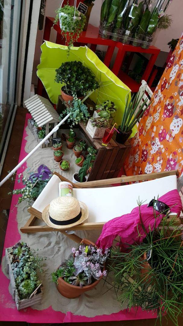 Decors-plage-ete-plantes-vertes