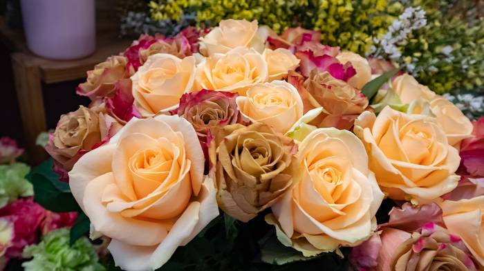 Bouquet-orange-rose